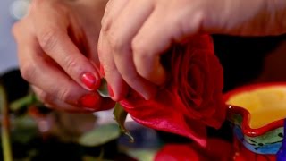 The Power of Roses to Keep Your Skin Young