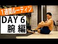 【1週間ルーティン】5分だけで腕をせめる!かっこいい腕を作るならこれ!