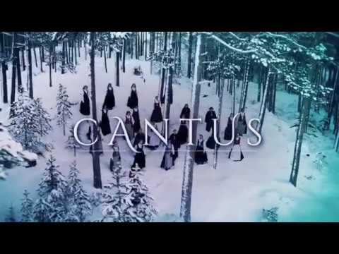 Cantus - Northern Lights