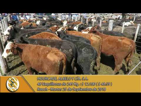 25-09-18 Venta de Hembras - Hourcade, Albelo y Cía. S.A. - Rauch