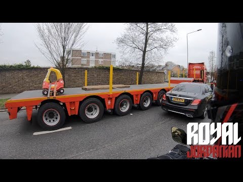 Daily Observations 250