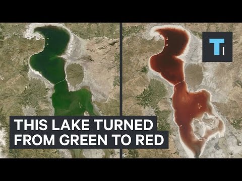 This lake turned from green to red