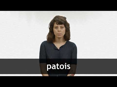 How to pronounce PATOIS in French