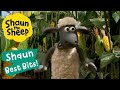 Get Your Goat Shaun The Sheep Best Bits Season 6