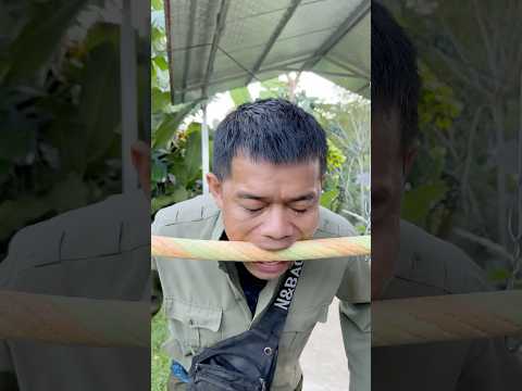 Mở cửa ra cho anh đi chơi.| #tottv
