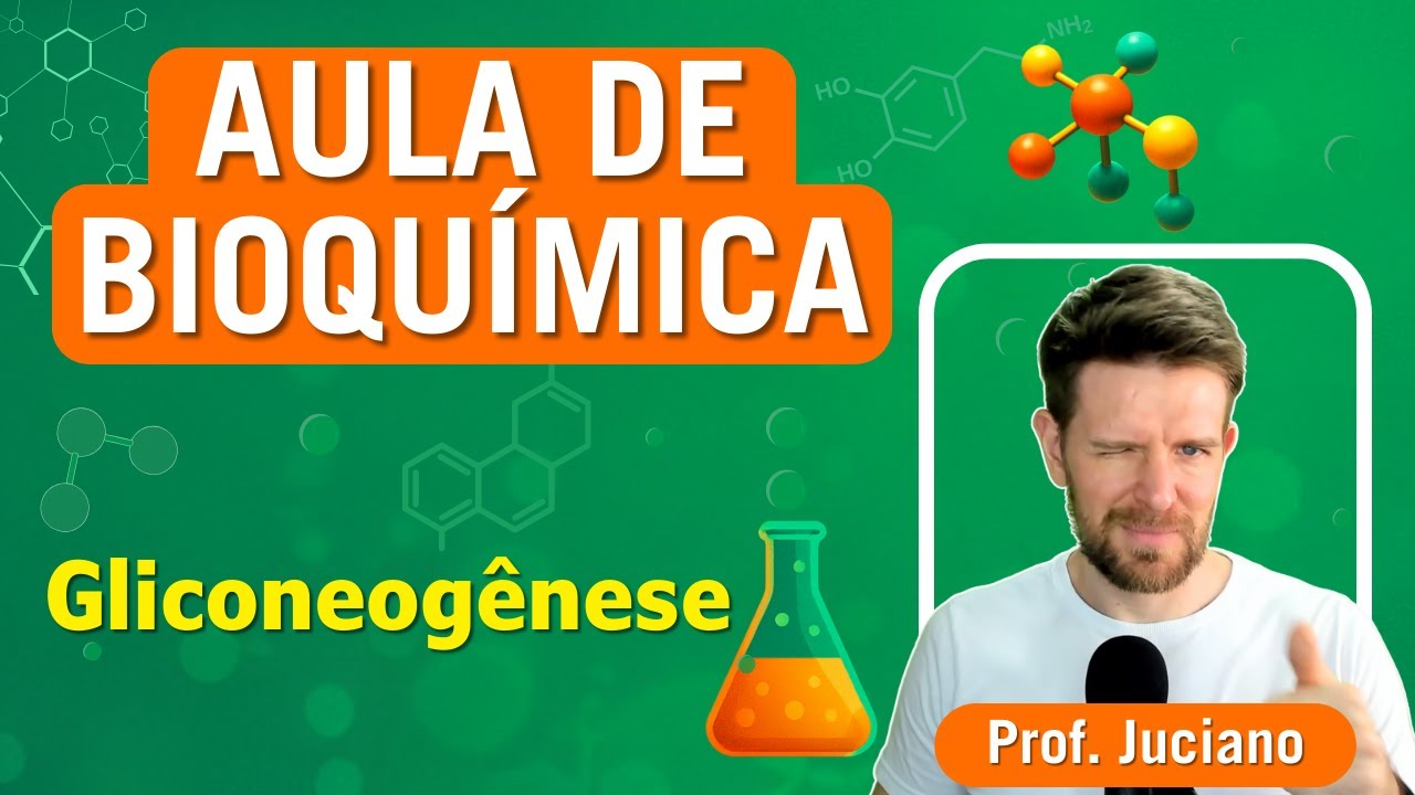Gliconeogênese ou neoglicogênese - Aula completa.
