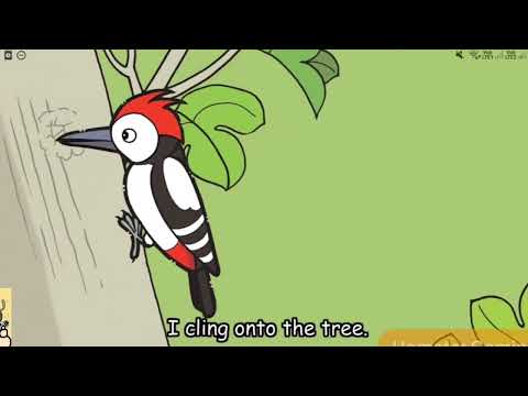 Hello Animals! | The Woodpecker (Episode 13)