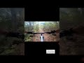 specialized stumpjumper comp alloy