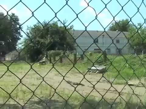 Video: Operation Save America - New Orleans 2014 Recap