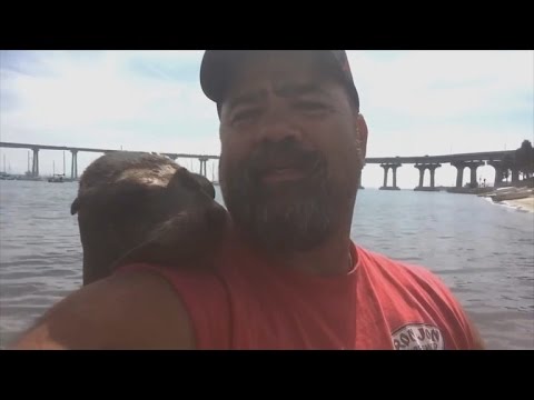 Friendly Seal Jumps on Fisherman's Back, Cuddles Up To Him and Won't Leave