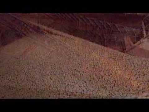 download lagu mp3 mp4 What Is Cement, download lagu What Is Cement gratis, unduh video klip What Is Cement