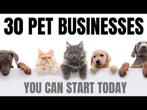 30 Pet Businesses that You Can Start Today | Animal Businesses