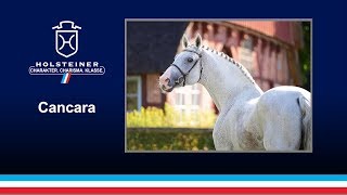 Video af Cancara