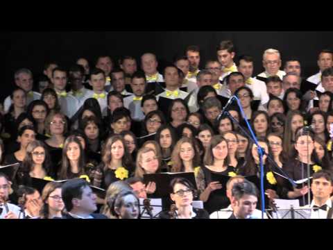 Corurile reunite Moldova - Vino, Isuse