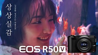 캐논 EOS R50 V (바디, 정품)_동영상_이미지