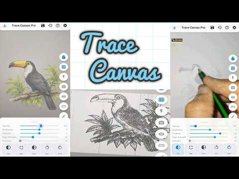 Trace Canvas Pro