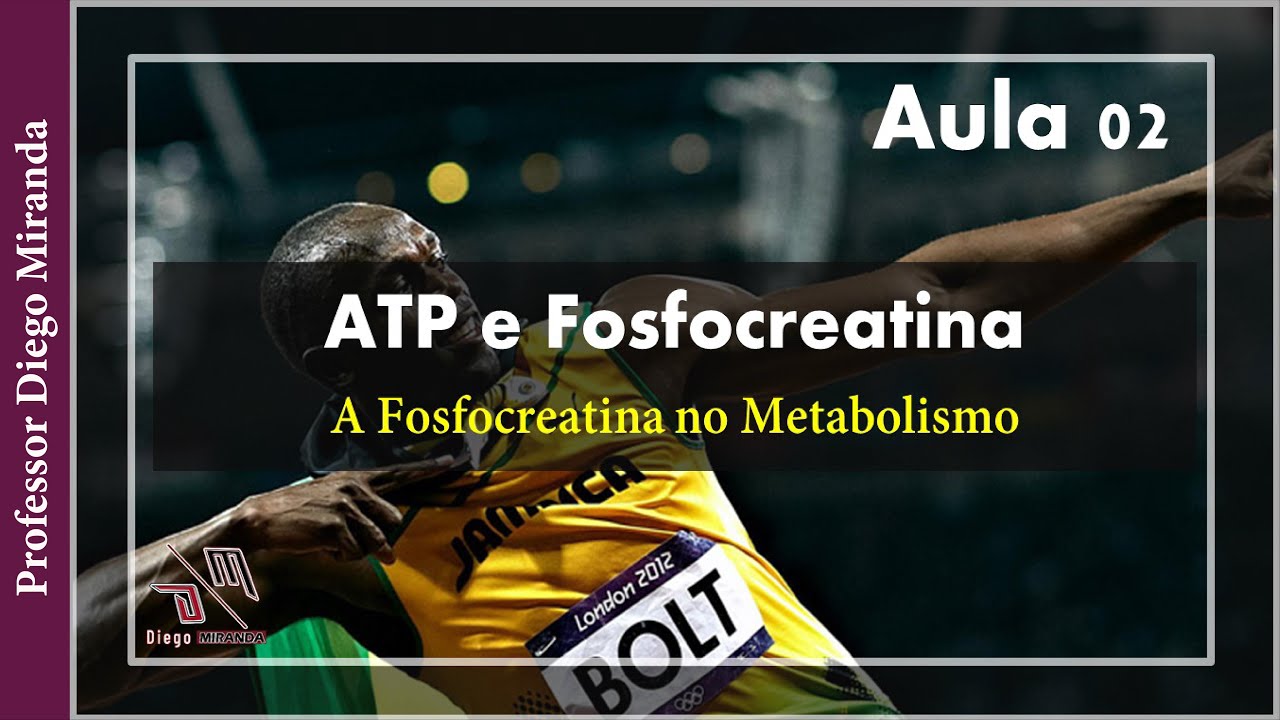 AULA #02 SISTEMA ATP PC – Fosfocreatina e o Exercício Físico