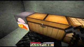 Lets Play Minecraft: DNS #015 - Hacken verbraten in Raten