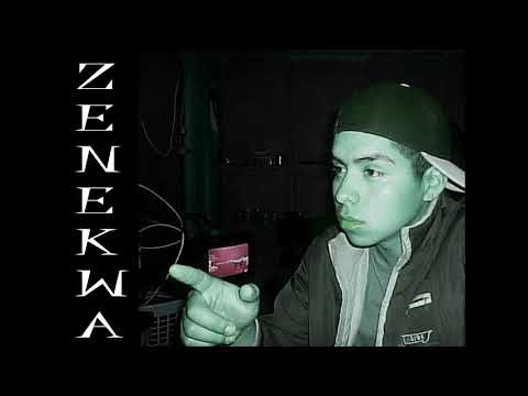 Zenekwa   Introspexion (2007)