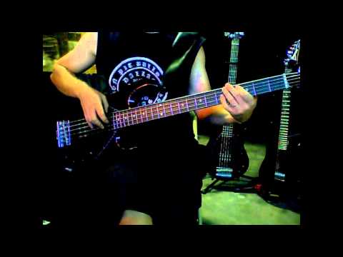 Meshuggah - Bleed Bass Cover by Martin Rygiel