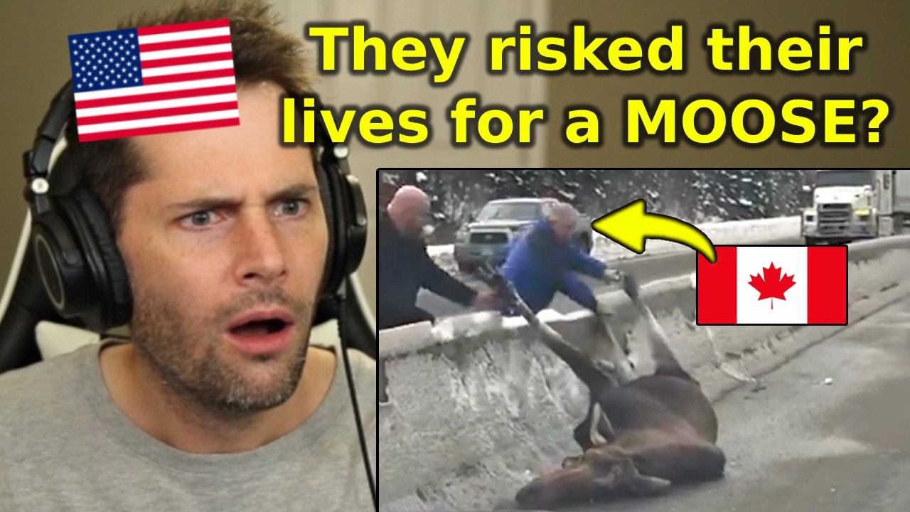 American Reacts to Proof Canadians Are the Nicest People in the World