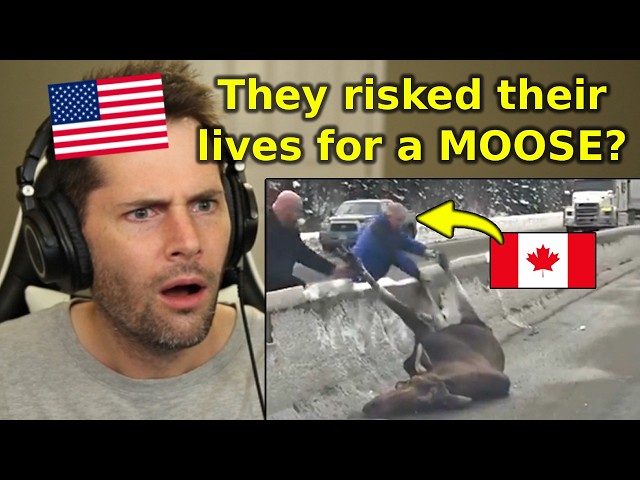 American Reacts to Proof Canadians Are the Nicest People in the World SDDEFAULT Thumbnail