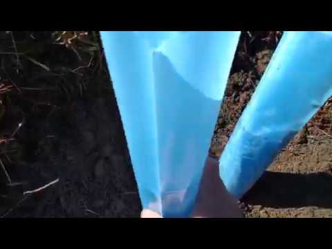 download lagu mp3 mp4 Blue X Vine Shelters, download lagu Blue X Vine Shelters gratis, unduh video klip Blue X Vine Shelters