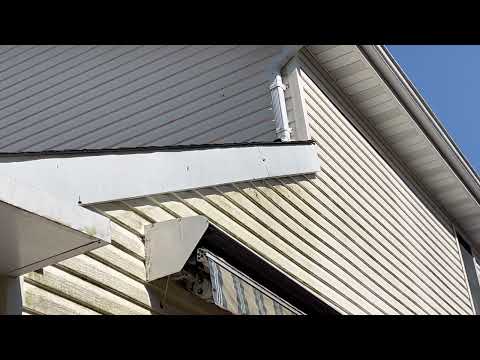 Carpenter Bees Boring Underneath the Fascia Board in Kendall Park, NJ