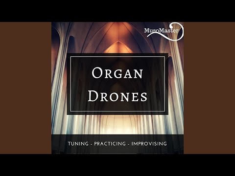 Organ Drone C