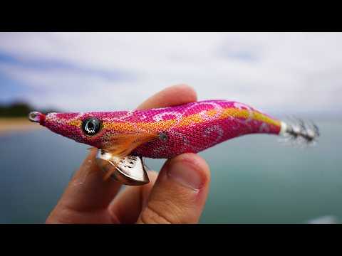 How To Start Squid Fishing (Beginners Guide)