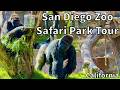 Tour Of The San Diego Zoo Safari Park 2026 Escondido California USA