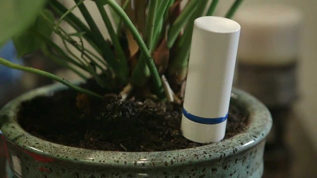 Plant Link Kickstarter Video