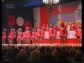 Leinespatzen 1995 Avi