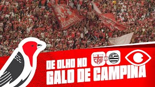 DE OLHO NO GALO DE CAMPINA - CRB X ATHLETIC