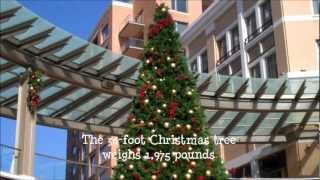 preview picture of video 'Holiday Magic at City Creek Center'