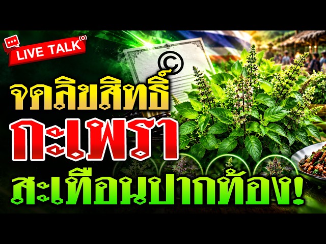 ดรามา! จด "ลิขสิทธิ์กะเพรา" เขย่าปากท้องชาวบ้าน! | 23 ต.ค. 69 | ข่าวเช้าหัวเขียว LIVE TALK