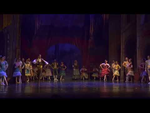 Jorge Barani , Don Quixote (Scene) Principal Dancer at State Opera Stara Zagora .