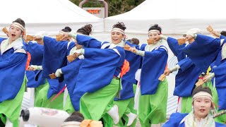 Bingo Shinsengumi 📍Fukunoyama Yosakoi (Central Park) 2025-10-26T12:54