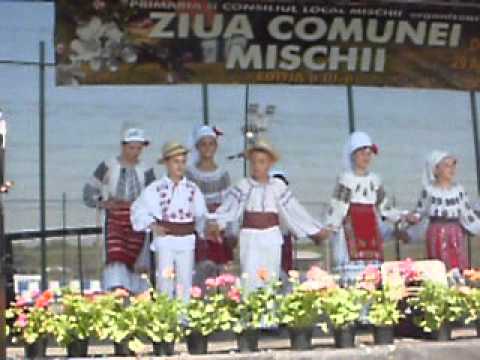 Ansamblul Doina Mischiului