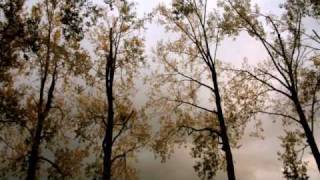 Taylor McFerrin - Georgia