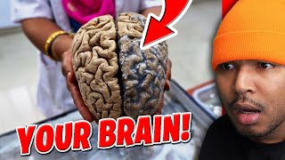 13 MOST MIND BLOWING THEORIES!