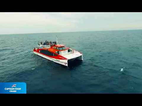 Thumbnail for Sydney Whale Watching 2018 Captain Cook Cruises
