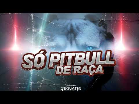 MEGA SO PITBULL DE RAÇA 