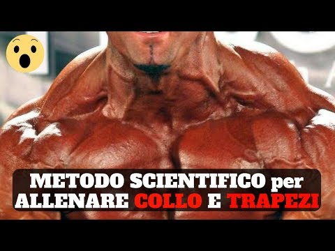 Raffreddori ginocchio Mal di schiena e gambe dal retro