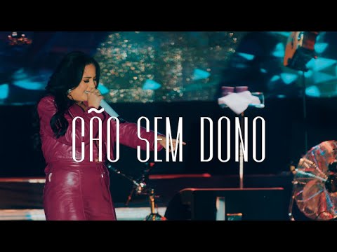 Video thumbnail for Cão Sem Dono