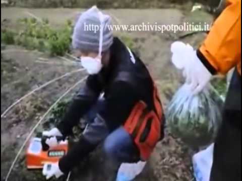 Comitato per il SI, referendum energia nucleare (2011)