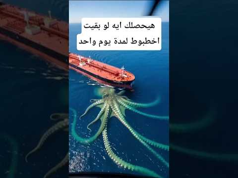 هيحصلك إيه لو بقيت أخطبوط ليوم واحد#معلومات #اكسبلور #animals #facts #wildlife #معلومات_غريبة