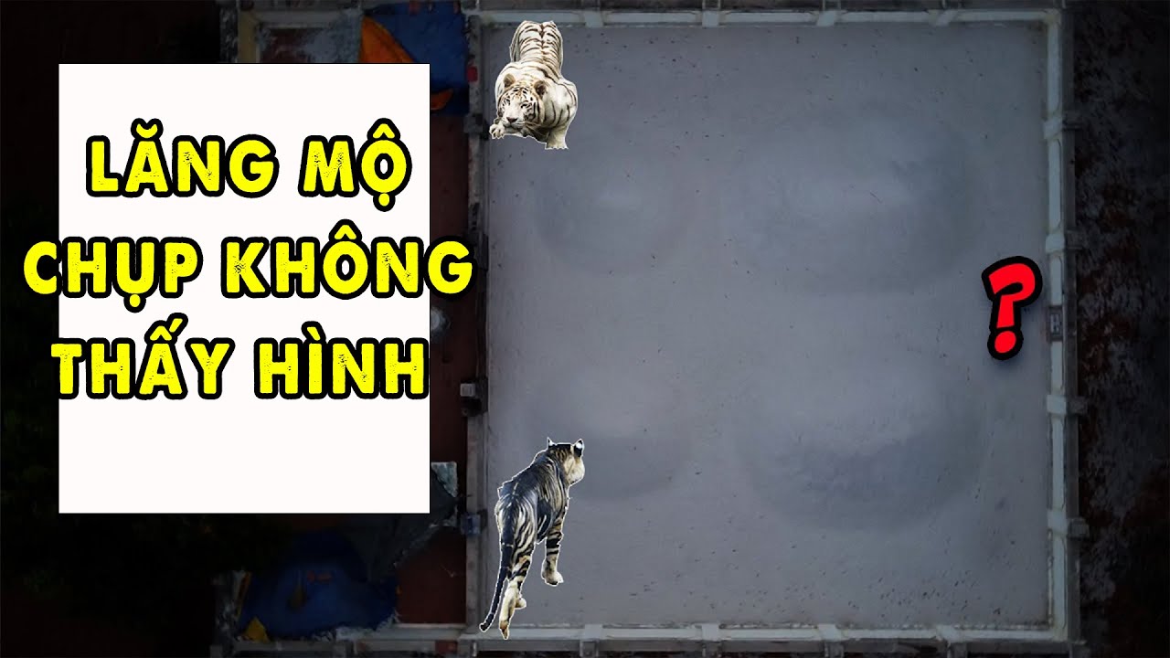 Mộ Cát Thần Thú Trấn Giữ Dinh Thầy Thím P2