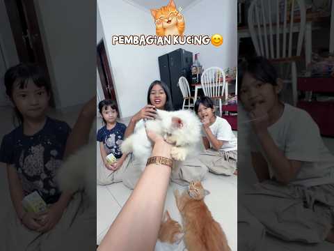 PEMBAGIAN KUCING!! DISTA DOMINIQ DARLEEN!! #viralvideo #viralvidio