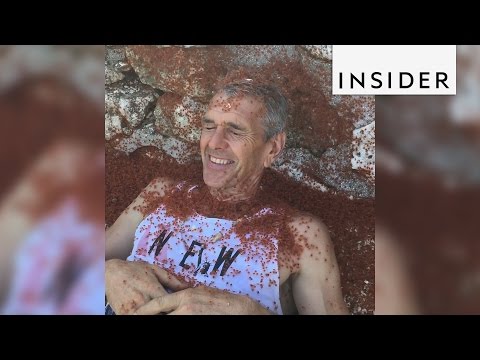 People Are Flocking To Christmas Island To See The Red Crab Migration